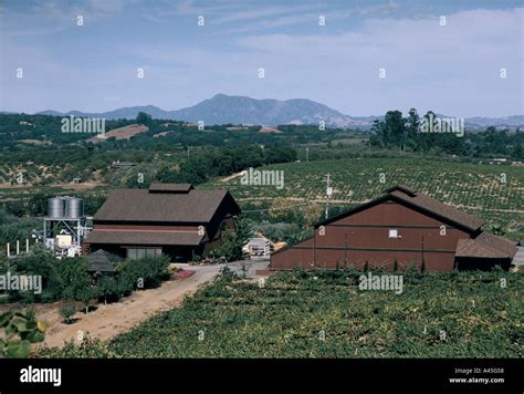 the iron horse ranch winery sonoma valley Stock Photo - Alamy