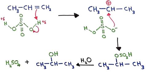 Hydrolysis of alkene | ethene, propene hydration with dilute H2SO4, mechanism