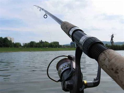 Ranking the Best Fishing Rods of 2023