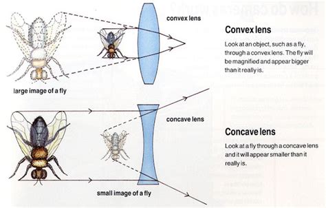 Karthi Blog: Convex Lens Vs Concave Lens