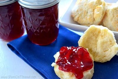 Homemade Plum Jam Recipe - Mom On Timeout