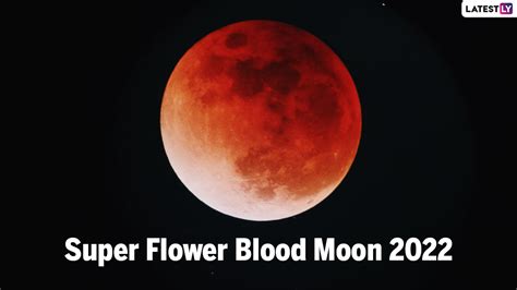 Science News | Know About Super Flower Blood Moon 2022: Date, Live ...