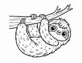 Free Sloth Coloring Pages For Kids sketch template