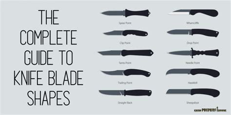 The Complete Guide to Knife Shapes: Blades, Edges, Points, and More!