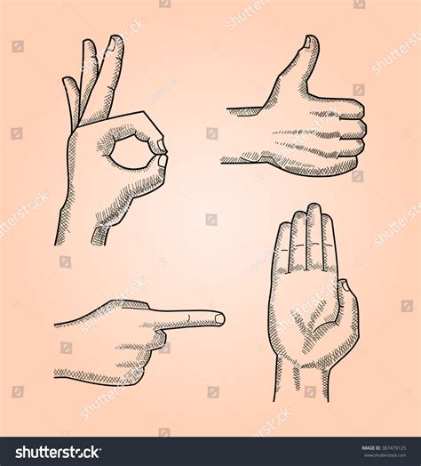 Line Drawing Different Hand Gestures Isolated Stock Vector (Royalty ...