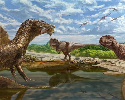 Carcharodontosaurus Vs. Paralititan: When The Speed Wins