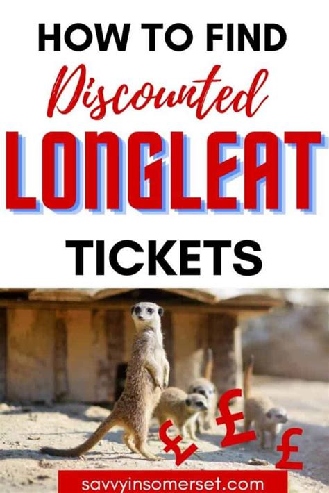 How To Get Cheap & Discounted Longleat Tickets (10 Ways!) - Savvy in Somerset