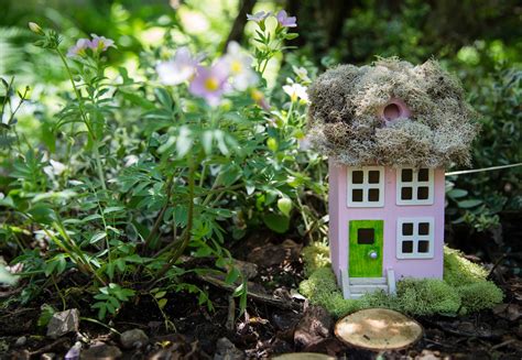 Best Fairy Garden Plants and Miniature Plants for Fairy Gardens