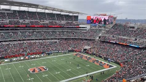 Bengals To Modernize Stadium With Turf Upgrade - Steelers Depot