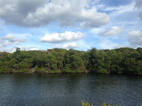 Lake Worth Lagoon Is Relying On Amendment 1 Funds For Restoration | WLRN