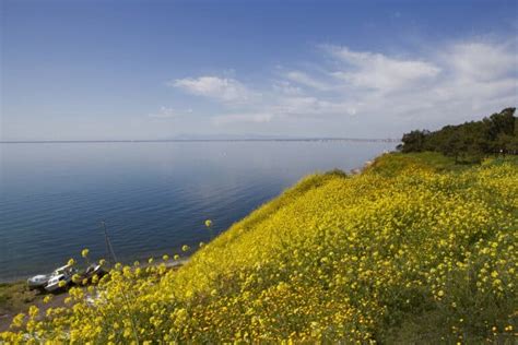 9 Best Beaches In Thessaloniki - Beautiful Greece