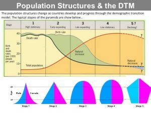 Demographic Transition Theory - Public Health Notes