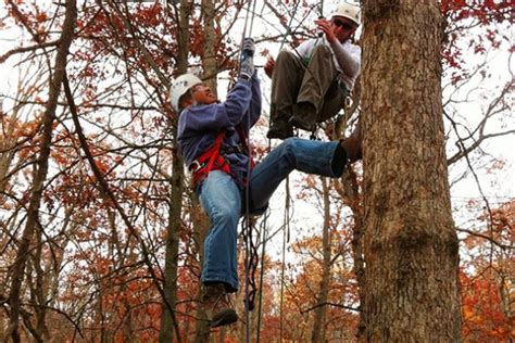 How Tree Climbing Works | MapQuest Travel