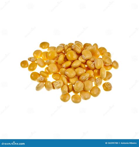 Lupin Or Lupini Beans Stock Photo - Image: 36599780