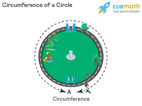 Circumference - Formula, Examples | Circumference of Circle