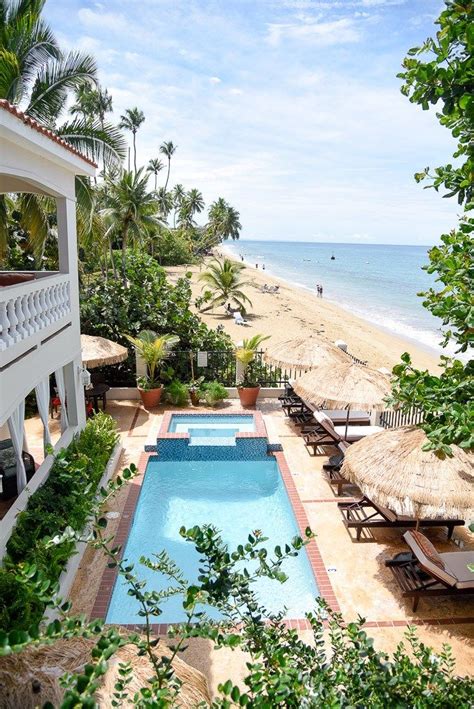 Tres Sirenas / An Oceanfront Boutique Hotel in Rincón | Lush Palm | Puerto rico vacation, Puerto ...