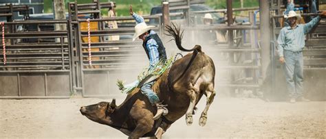 Houston Rodeo Parking | Vivid Seats