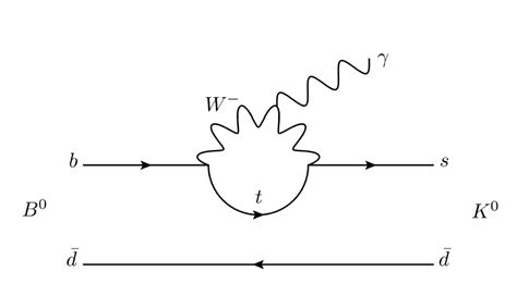 quantum field theory - How to tell the order of a Feynman diagram? - Physics Stack Exchange