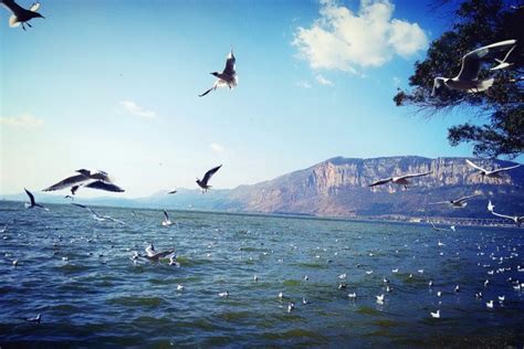 Kunming Dianchi Lake Travel: Entrance Tickets, Travel Tips, Photos and ...