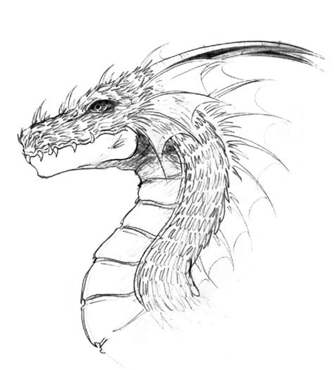 Simple Dragon Head Drawing at PaintingValley.com | Explore collection ...