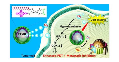 Perfluorocarbon@Porphyrin Nanoparticles for Tumor Hypoxia Relief to ...