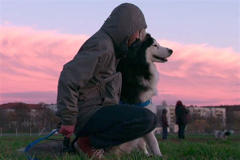 Netflix’s ‘Dogs’: All About This Endearing New Docu-series | Decider