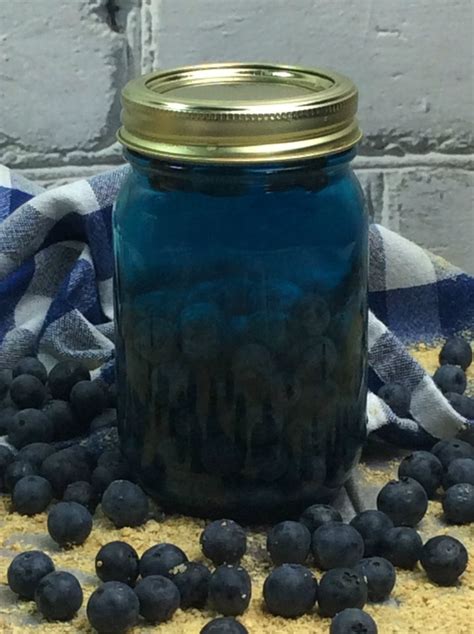 Blueberry Moonshine Recipes With Everclear | Besto Blog