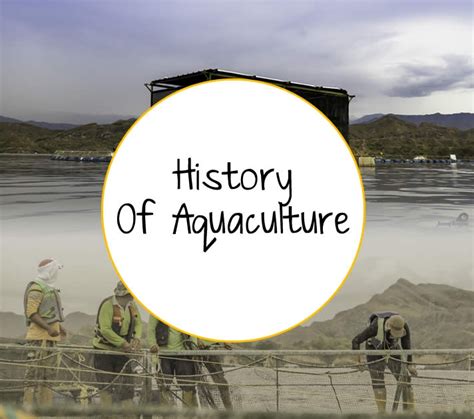 History Of Aquaculture - AQUABEST SEAFOOD | Fresh Tilapia & Rainbow Trout