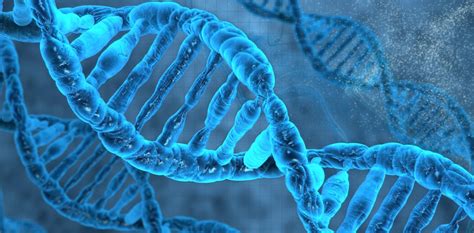 How does genetics explain non-identical identical twins?