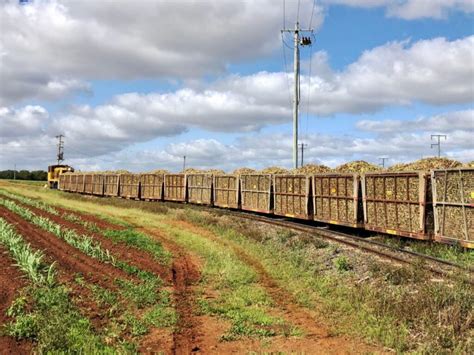 Last of 2019 sugarcane hauled to Isis Central Mill – Bundaberg Now