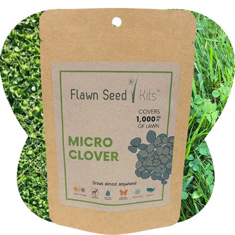 Flawn Seed Micro Clover Flowering Lawn Seed Easy to Use, Kid, Pet ...