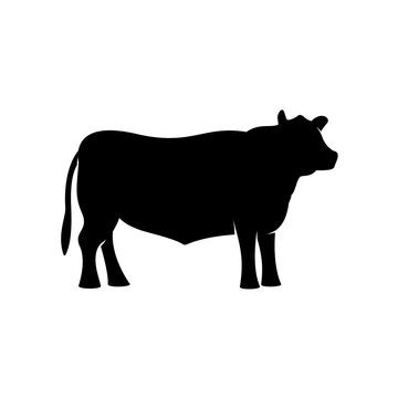 Angus Cow Silhouette Images – Browse 5,091 Stock Photos, Vectors, and Video | Adobe Stock