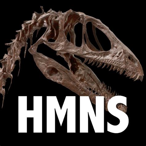 HMNS - Houston Museum of Natural Science - YouTube