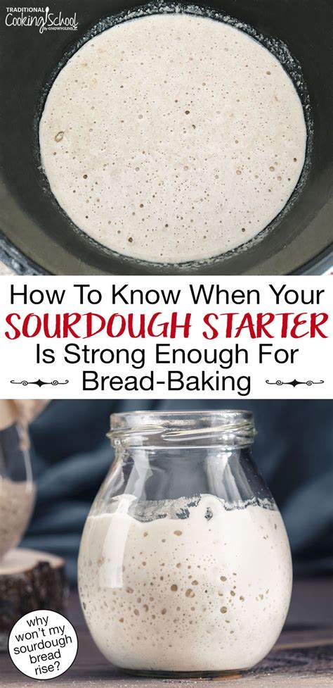 Sourdough troubleshooting how to know when your starter is strong enough for bread baking – Artofit