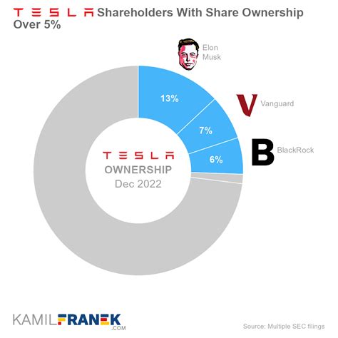 Who Owns Tesla: The Largest Shareholders Overview - KAMIL FRANEK ...