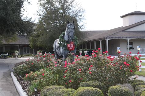 Grand Oaks Resort in Weirsdale | Grand Oaks Resort 3000 Marion County ...