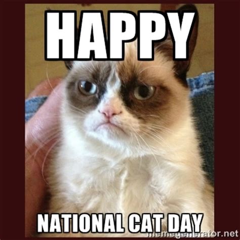 National Cat Day 2015 Memes