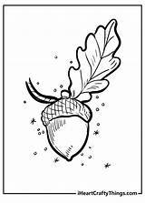 Acorn Coloring Page  Vrogueco sketch template