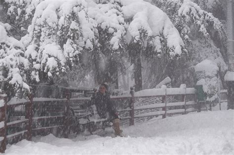 Shimla receives season’s first heavy snowfall - The News Himachal