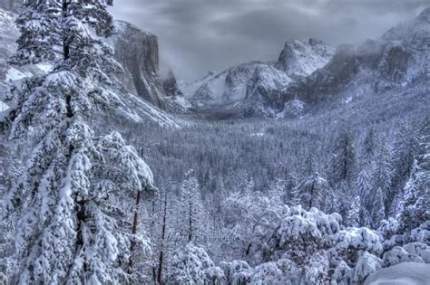 Heavy snow in Yosemite California : r/snow