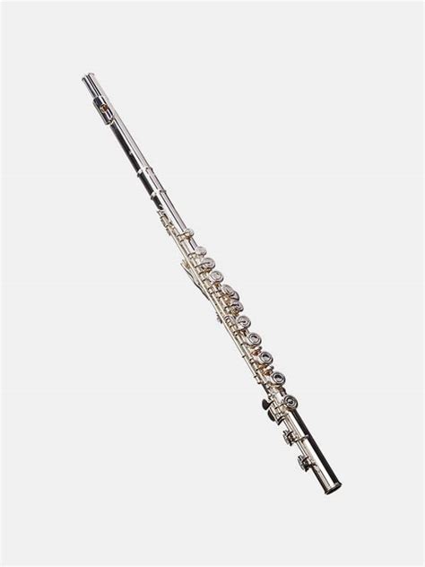 Flute Rental | Rent A Flute in Minutes