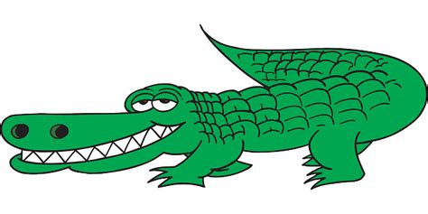Free vector graphic: Alligator, View, Side, Tail, Teeth - Free Image on ...