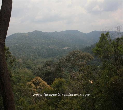 Photos of Taman Negara National Park: Images and photos