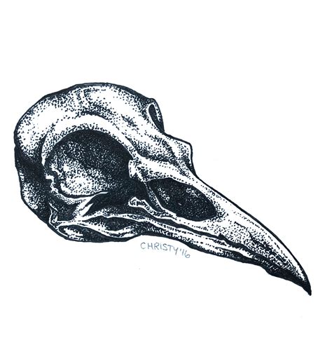 Raven skull 😊🐤 : r/drawing