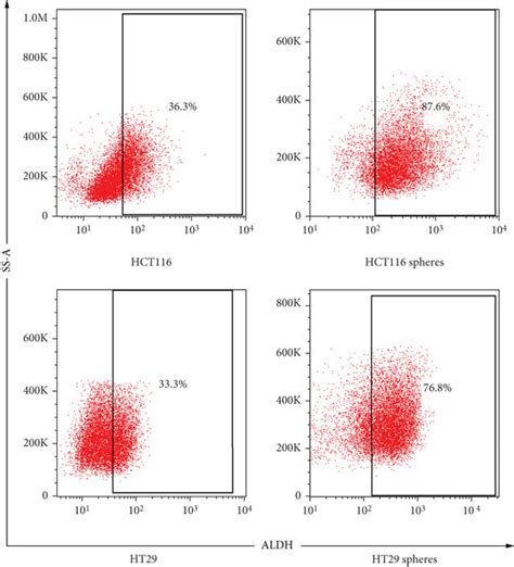 Sphere cells derived from HCT116 and HT29 cell lines display CSC ...