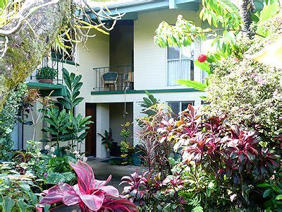 Dolphin Bay Hotel, Hilo, Hawaii - Budget friendly Big Island Hotel | Hawaii hotels, Big island ...