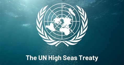 Reviewing the new UN High Seas Treaty | IIM