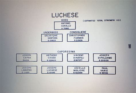 Paul Castellano Family Tree