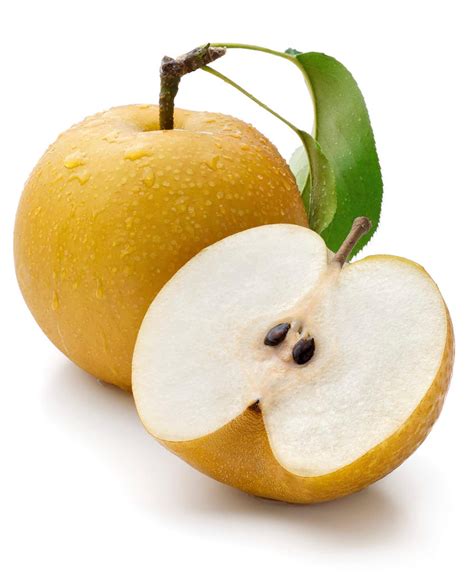 Buy Asian Pear 10 - Chinese Sand Pear , Pyrus Pyrifolia , Edible Fruit Tree for ing, Asian Pear ...