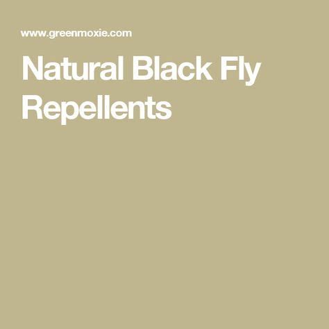 Natural Black Fly Repellents | Fly repellant, Black fly repellent, Black fly